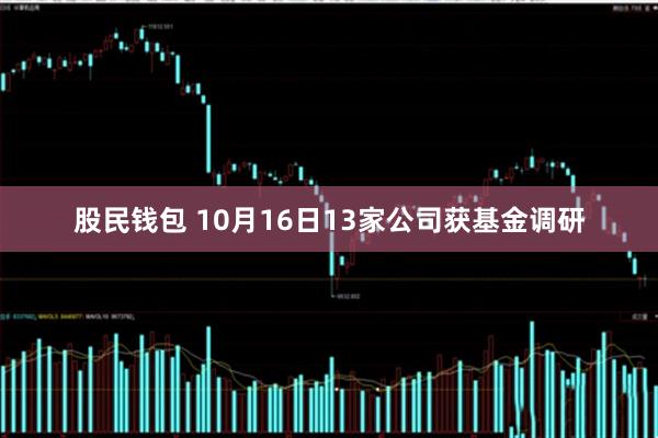 股民钱包 10月16日13家公司获基金调研