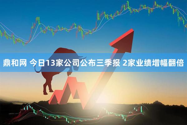 鼎和网 今日13家公司公布三季报 2家业绩增幅翻倍