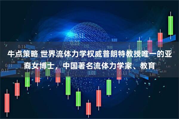牛点策略 世界流体力学权威普朗特教授唯一的亚裔女博士，中国著名流体力学家、教育