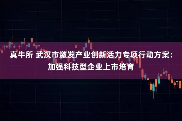 真牛所 武汉市激发产业创新活力专项行动方案：加强科技型企业上市培育