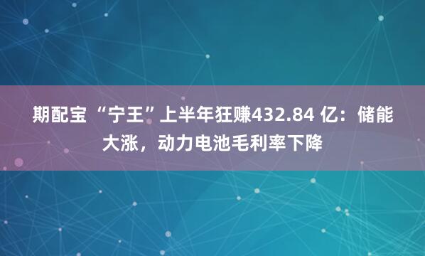 期配宝 “宁王”上半年狂赚432.84 亿：储能大涨，动力电池毛利率下降